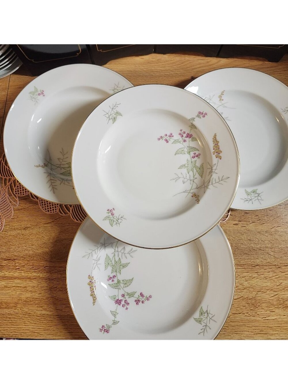 Johann Haviland Bavaria Vintage Porcelain Rimmed Soup Bowls Set of 4